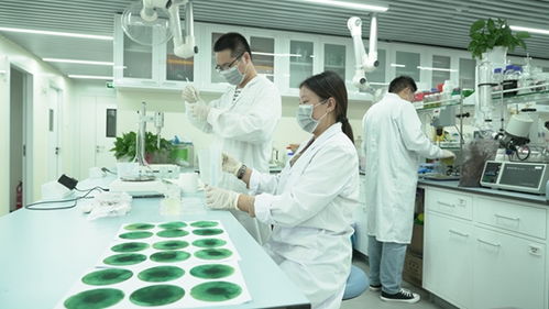 新洋丰 高举创新大旗，引领农业科学研究和试验发展