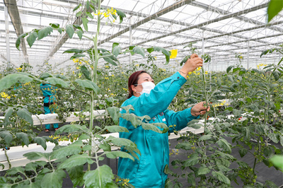 科技赋能盐城农业现代化，2021年粮食总产达142.96亿斤