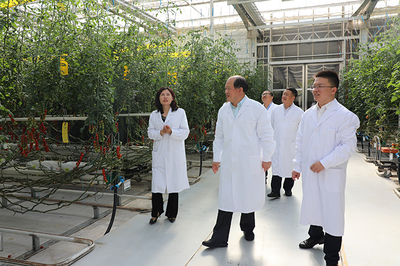 山东华宇工学院大学生创新创业实践基地落户德州财金智慧农业产业园，引领农业科研与试验发展新篇章