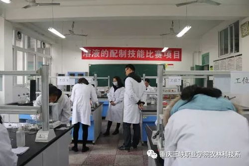 农林科技系第六届技能大赛 助力农业科研与试验发展新篇章