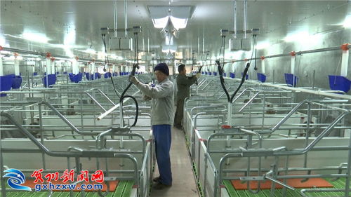 科技赋能，智慧农业为我市农业插上腾飞之翼