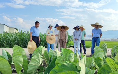 桂林市农业科学研究中心赴贺州市农业科学院开展农业科研与试验发展调研交流