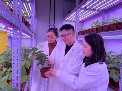 河南大学 聚焦农业科技创新，打造现代农业发展新高地