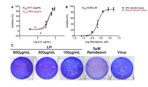 连花清瘟抗新冠肺炎病毒机制初探 钟南山团队最新研究进展