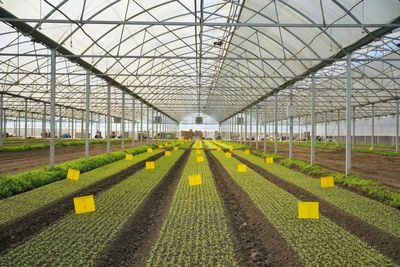 区领导深入调研农业科创谷推进工作，强调以科技创新驱动农业现代化发展